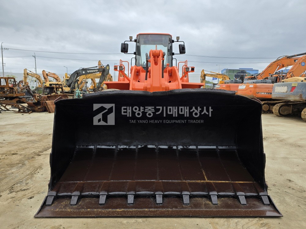 대표 이미지