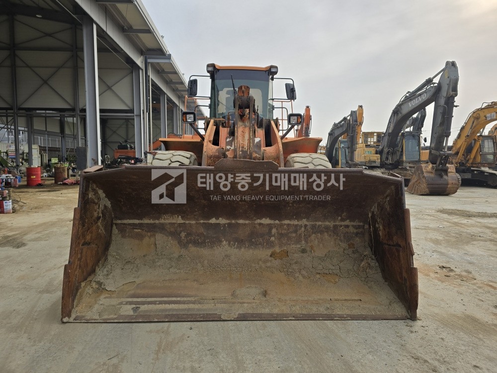 대표 이미지