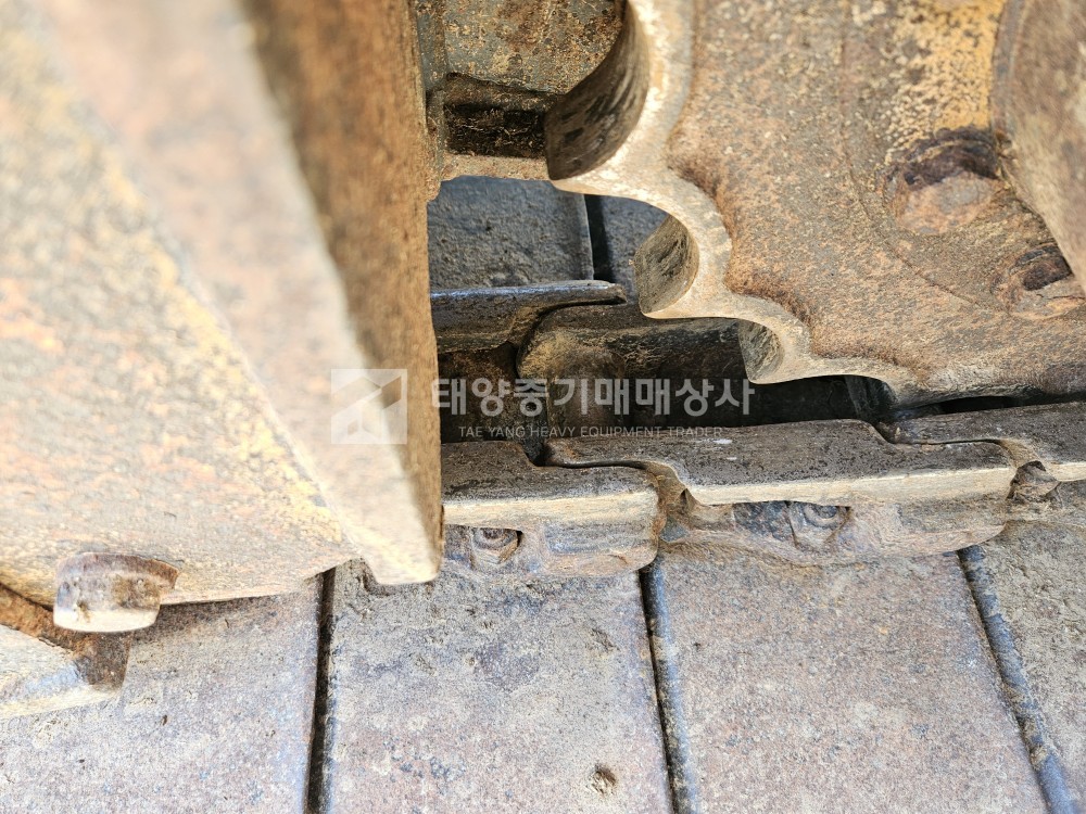 대표 이미지