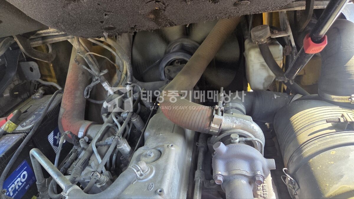 대표 이미지