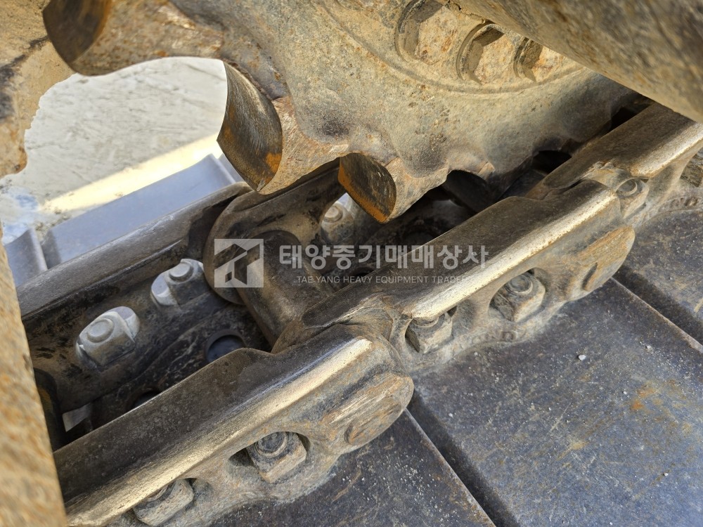 대표 이미지