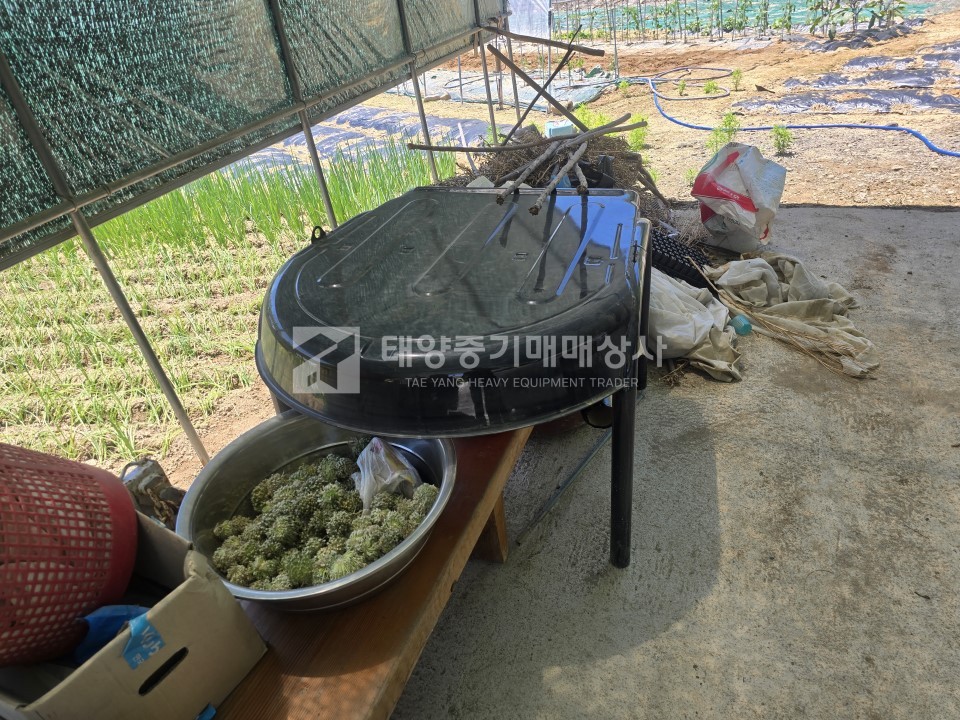 대표 이미지