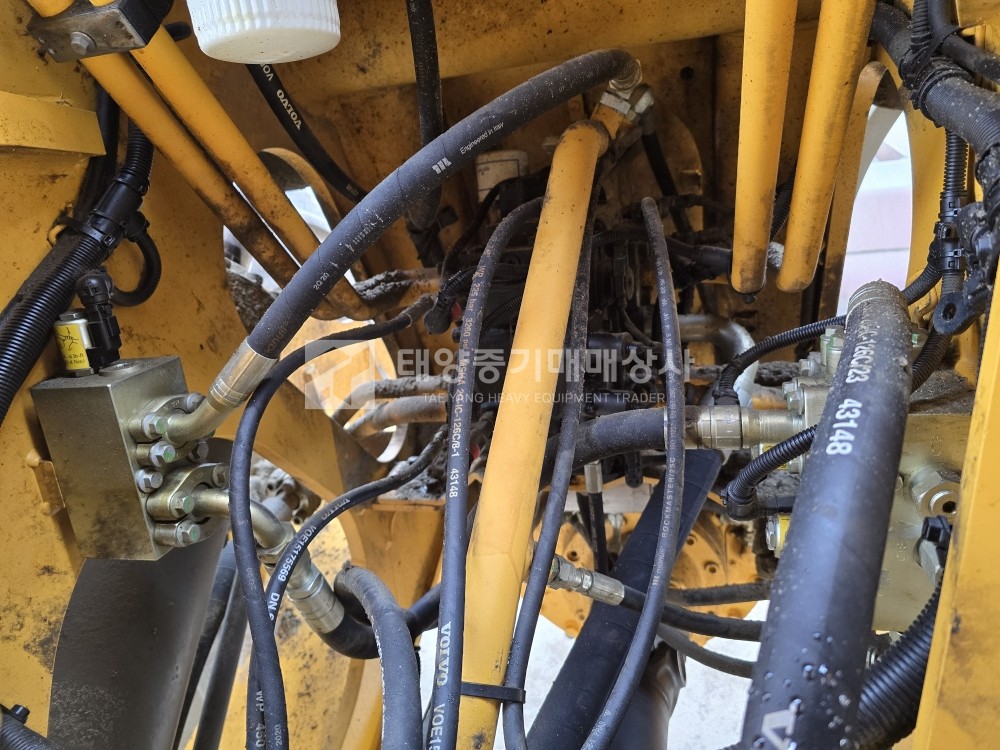 대표 이미지