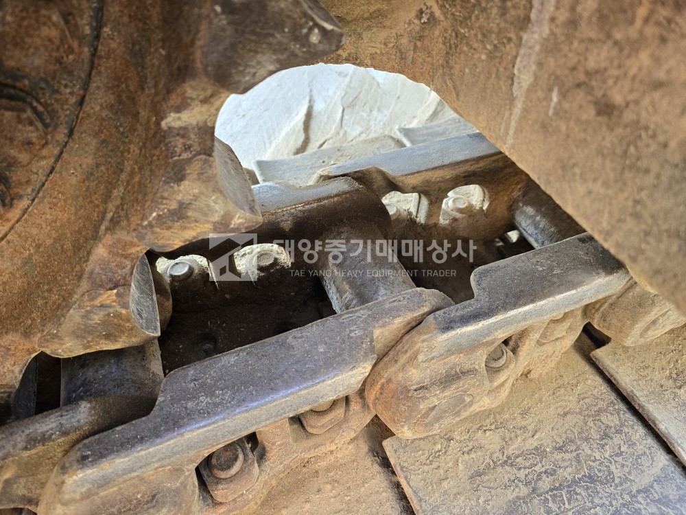 대표 이미지