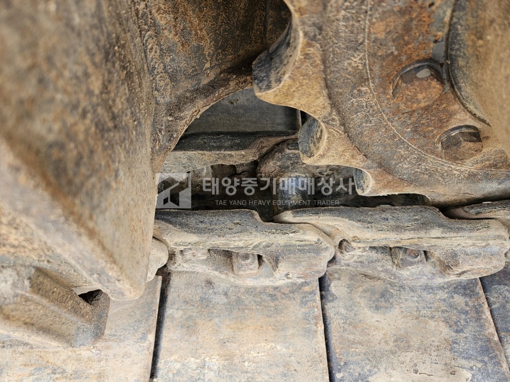 대표 이미지