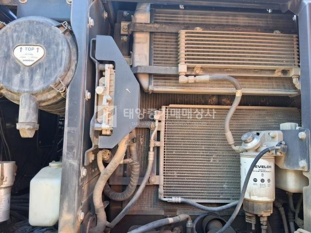 대표 이미지