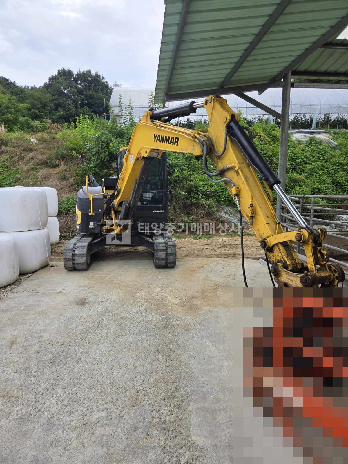 대표 이미지