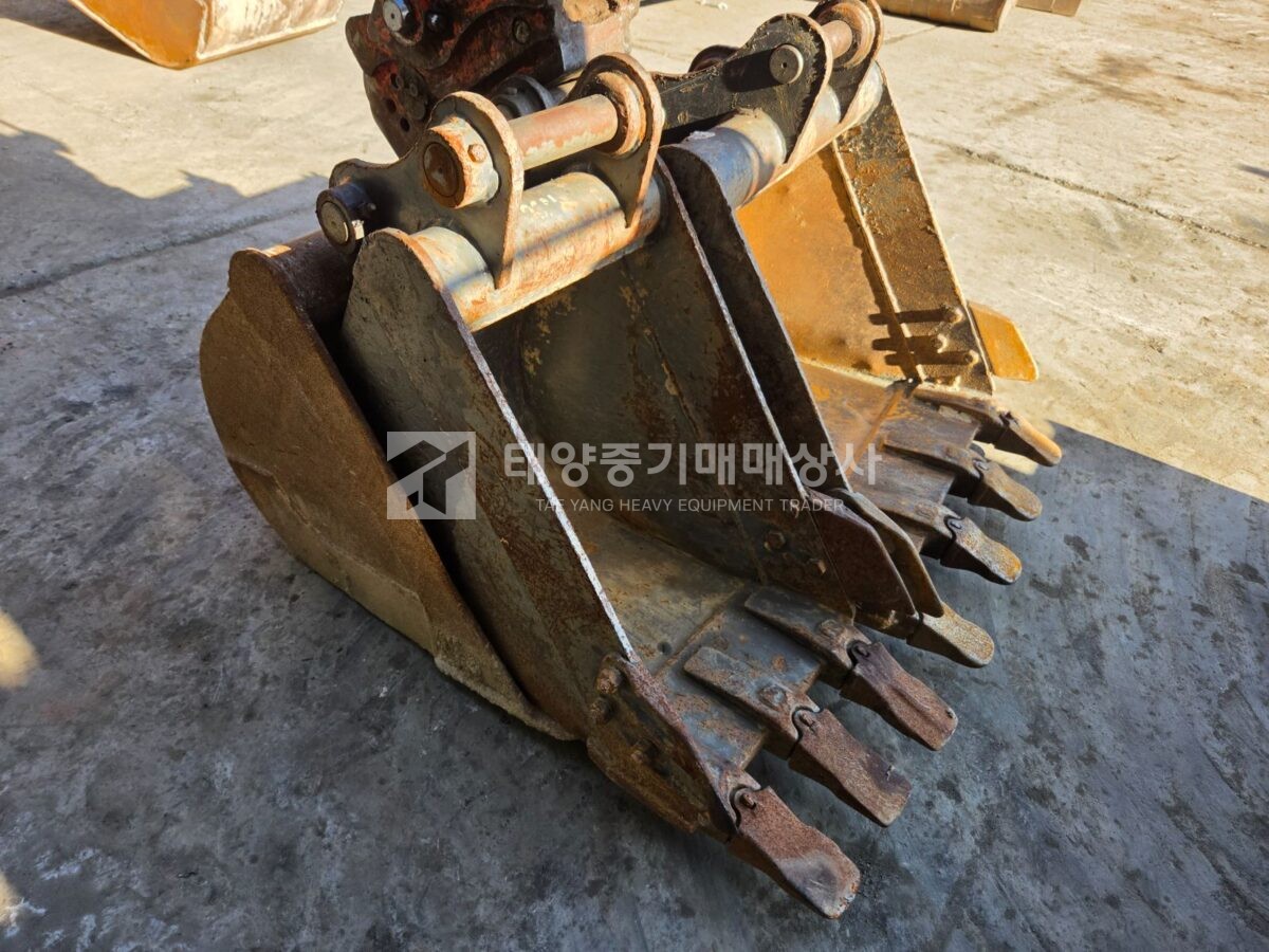 대표 이미지